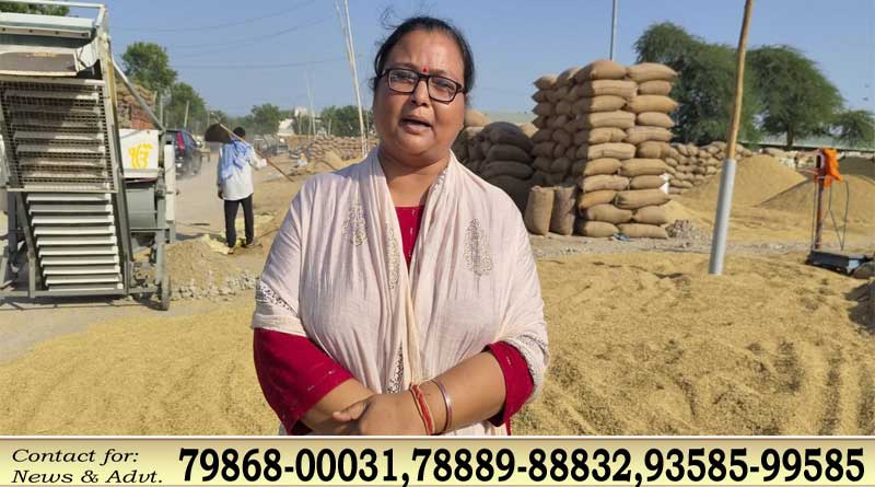 फाजिल्का में बारिश से फसलें प्रभावित, पूजा लूथरा सचदेवा ने मांगा मुआवजा