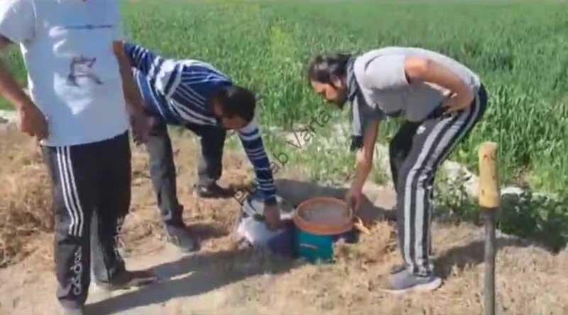 %%title%% %%page%% %%sep%% %%sitename%% Excise department recovered 300 liters of Lahan during raid in village Mahalam