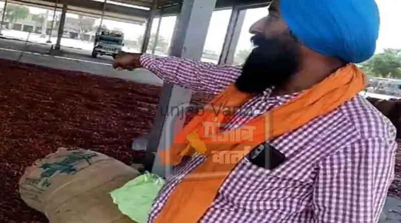%%title%% %%page%% %%sep%% %%sitename%% Illegal trading of chillies in Jalalabad grain market