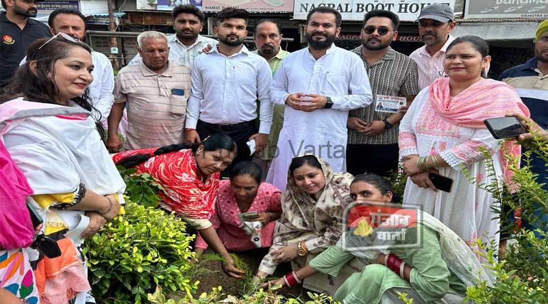 %%title%% %%page%% %%sep%% %%sitename%% MLA Savna and his wife Khushboo started a campaign to distribute saplings
