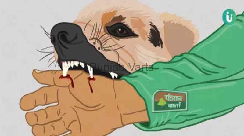 %%title%% %%page%% %%sep%% %%sitename%% Pet dog bites child in Fazilka